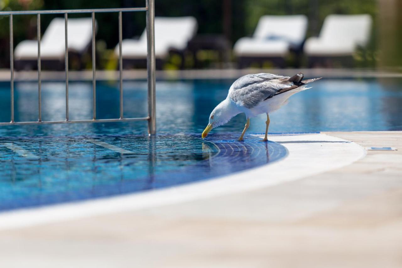 Villa Florence Boutique Apart Hotel Sveti Vlas Dış mekan fotoğraf
